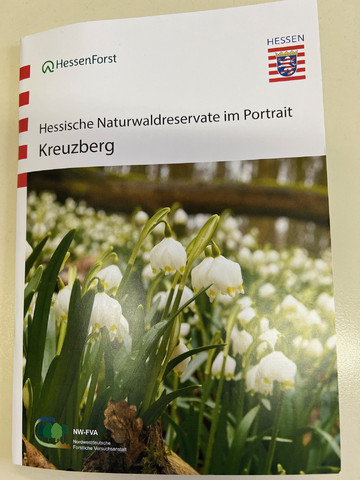 Neue Broschüre zum Hessischen Naturwaldreservat Kreuzberg